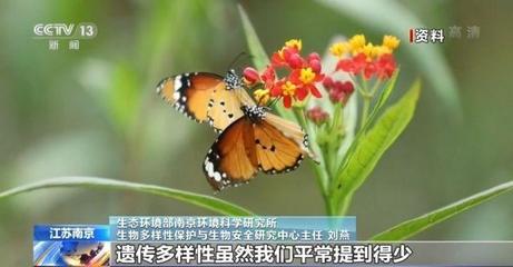 地球自然生態平衡的保障 保護生物多樣性究竟有多重要？
