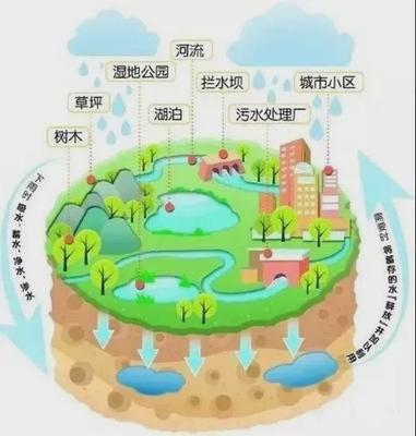 四川唯一，瀘州市再添一張城市“新名片” 海綿城市如何重塑自然生態系統保護管理？
